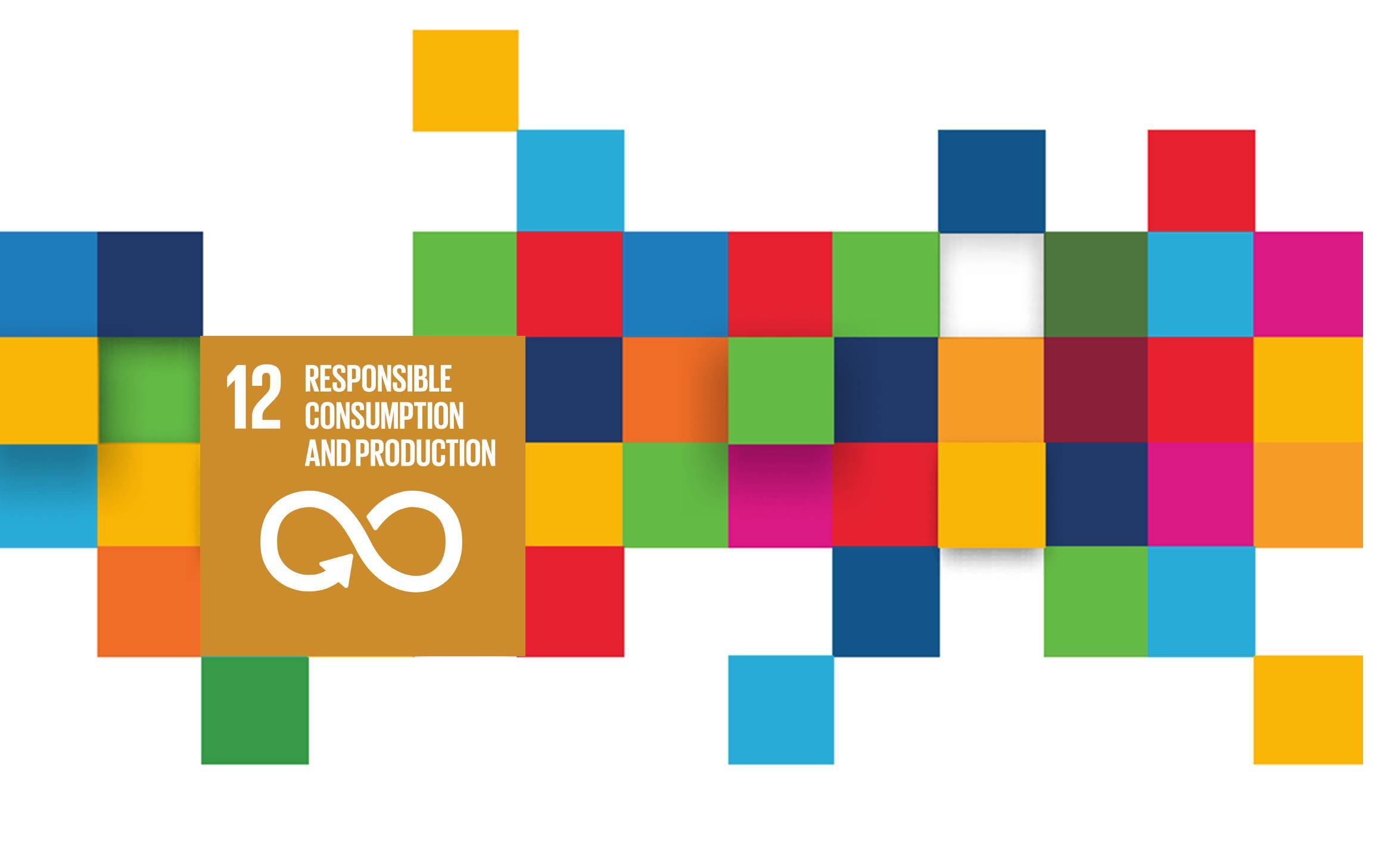 Strengthening data monitoring and reporting to showcase India’s progress in achieving SCP