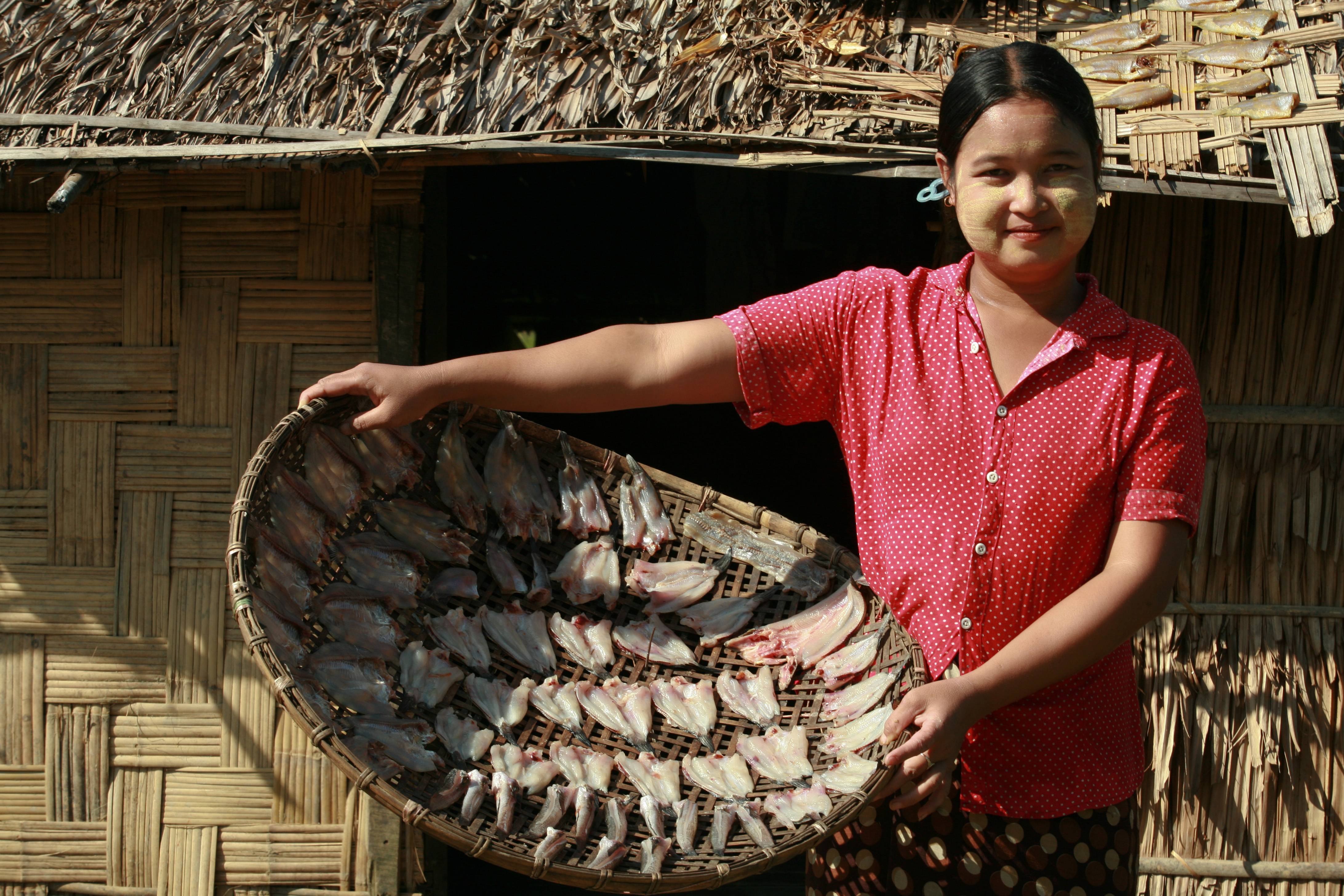 Nurturing Green Aquaculture in Myanmar (NGA-Myanmar)