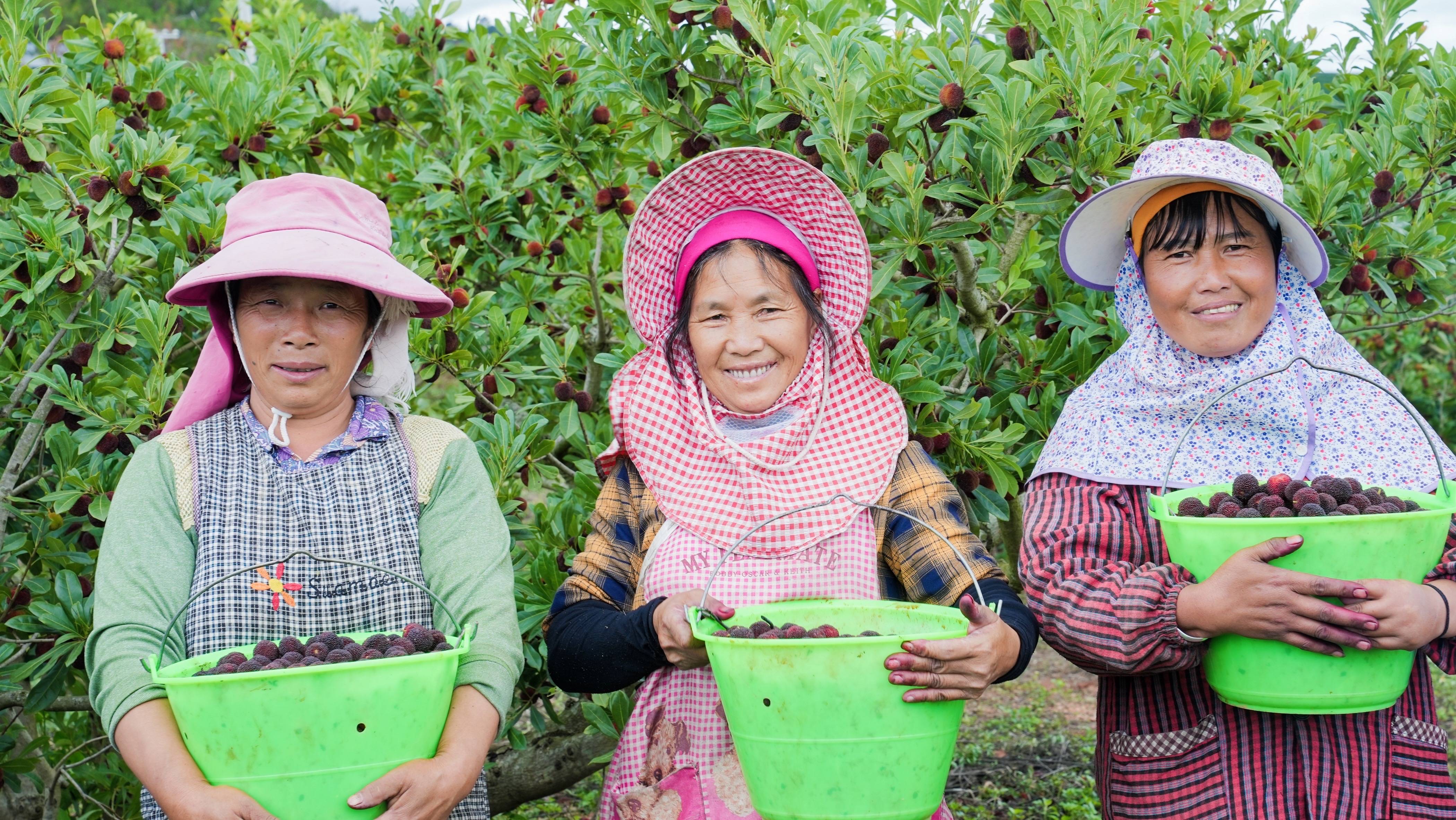 Supporting Scheme for MSMEs by Building Sustainable Agricultural Fresh Food Production and Logistics in China (SAFE)