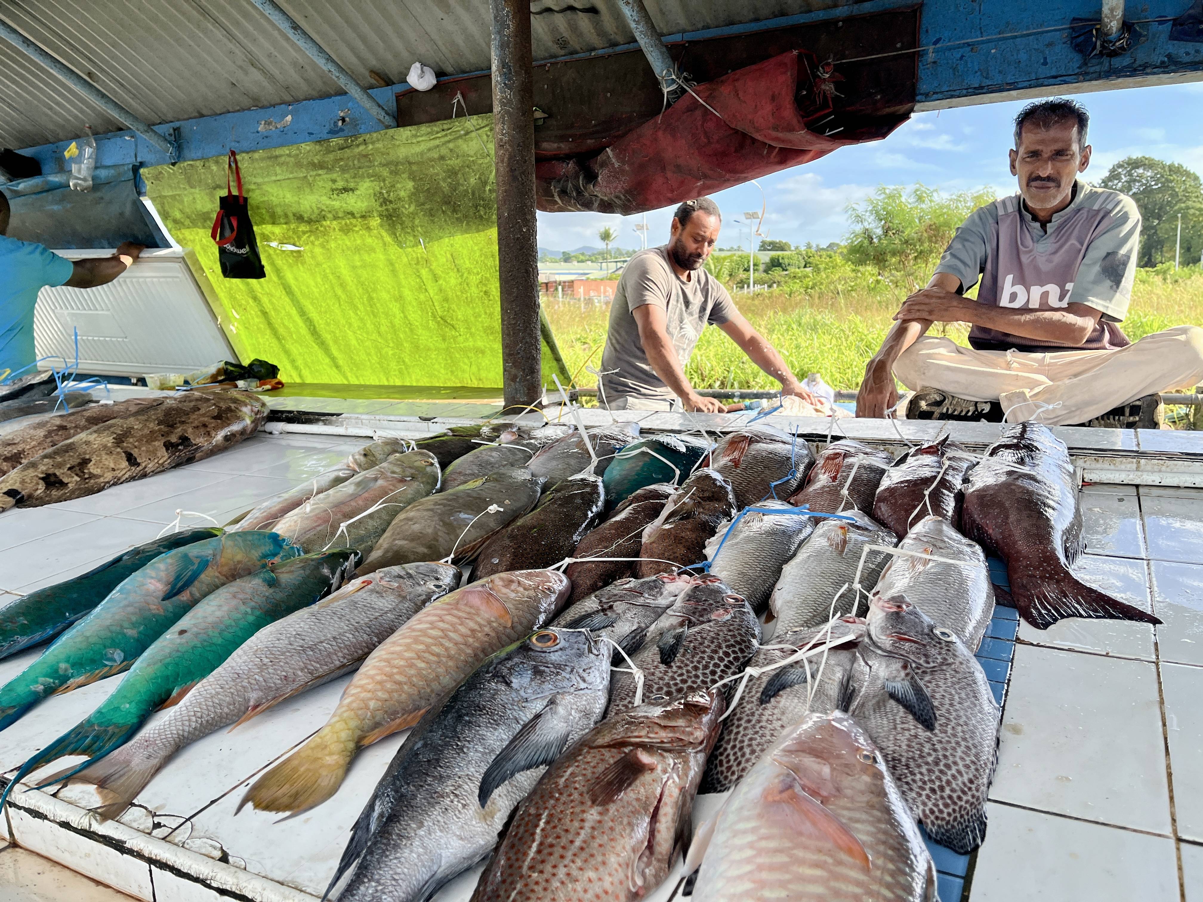 What would it take for Pacific Island Countries to achieve a resource-efficient, resilient, circular, and low-carbon economy?