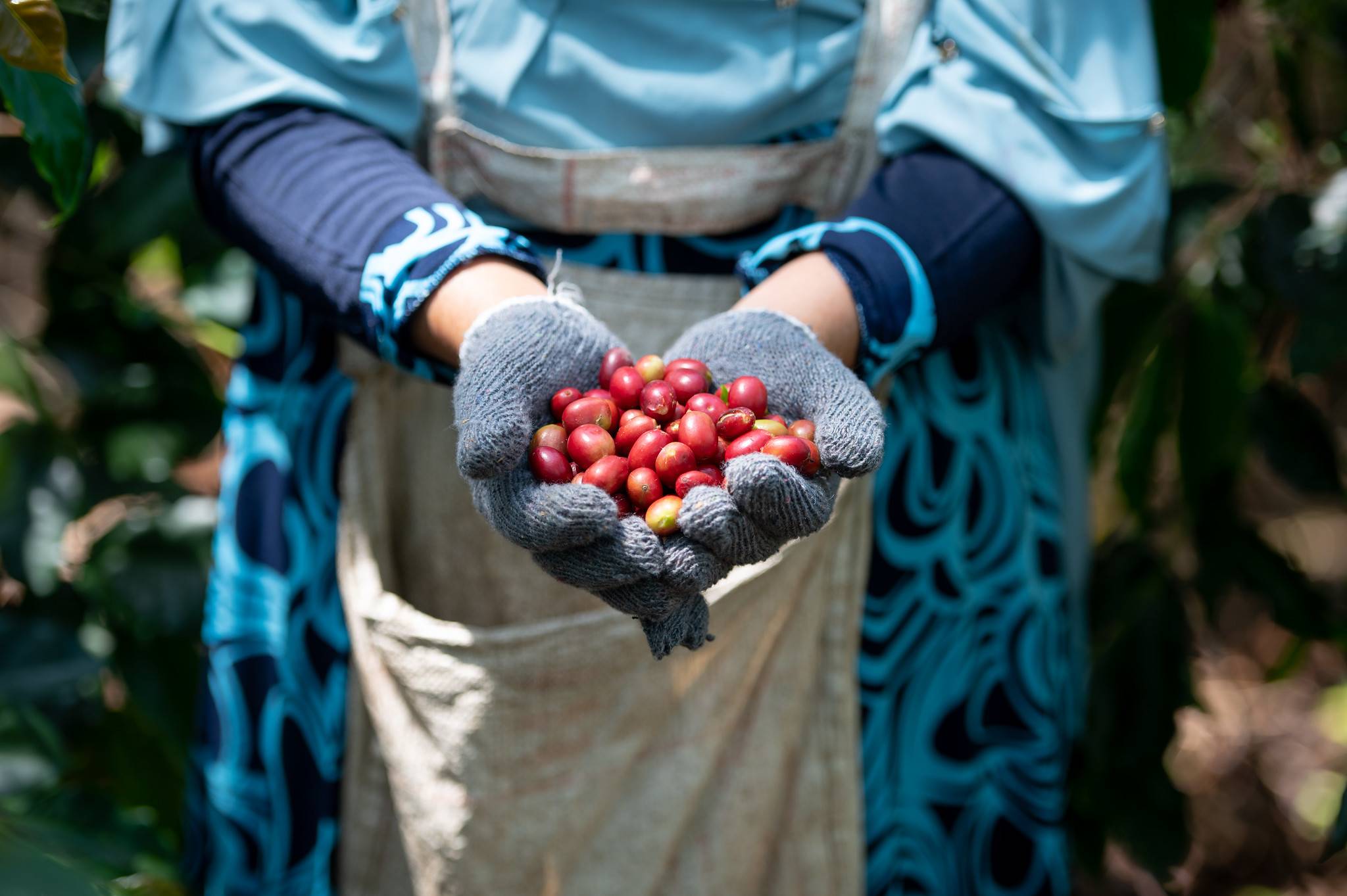 ACT! Accelerating Consumer Transformation and Sustainability in Indonesia