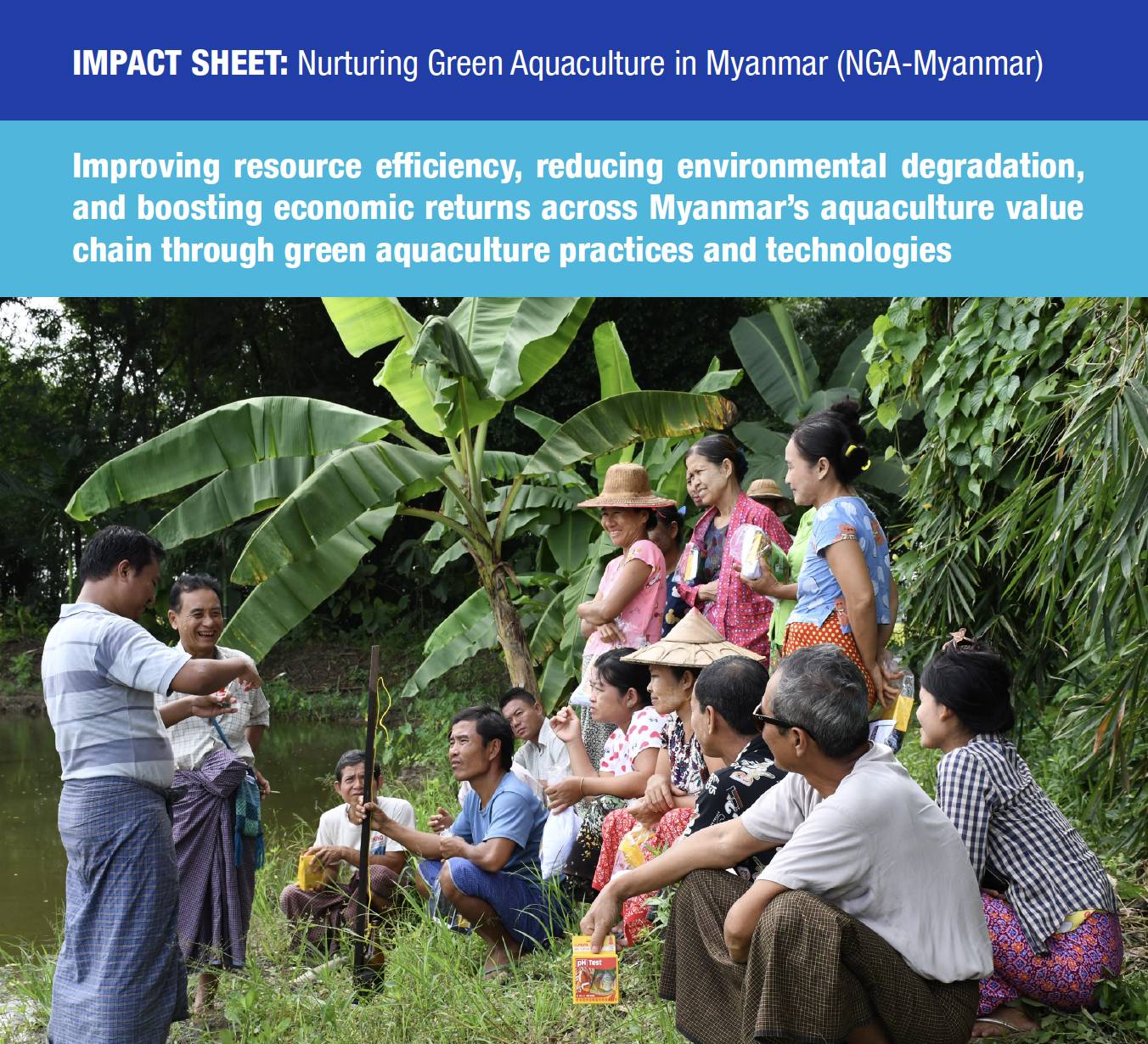 Impact Sheet: Nurturing Green Aquaculture in Myanmar (NGA-Myanmar)